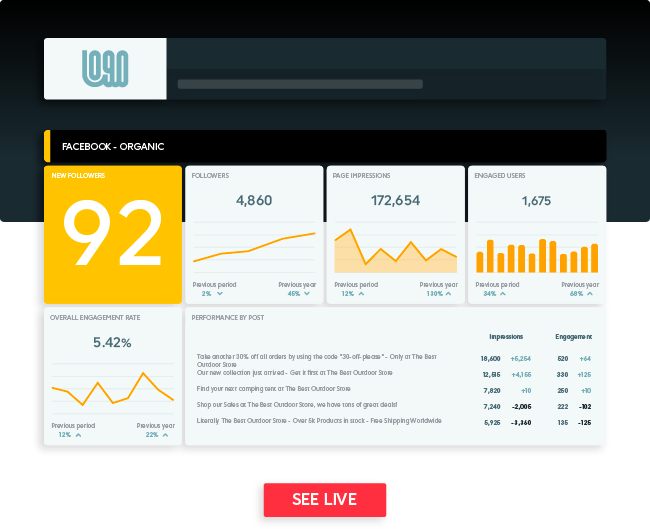 Social media report template